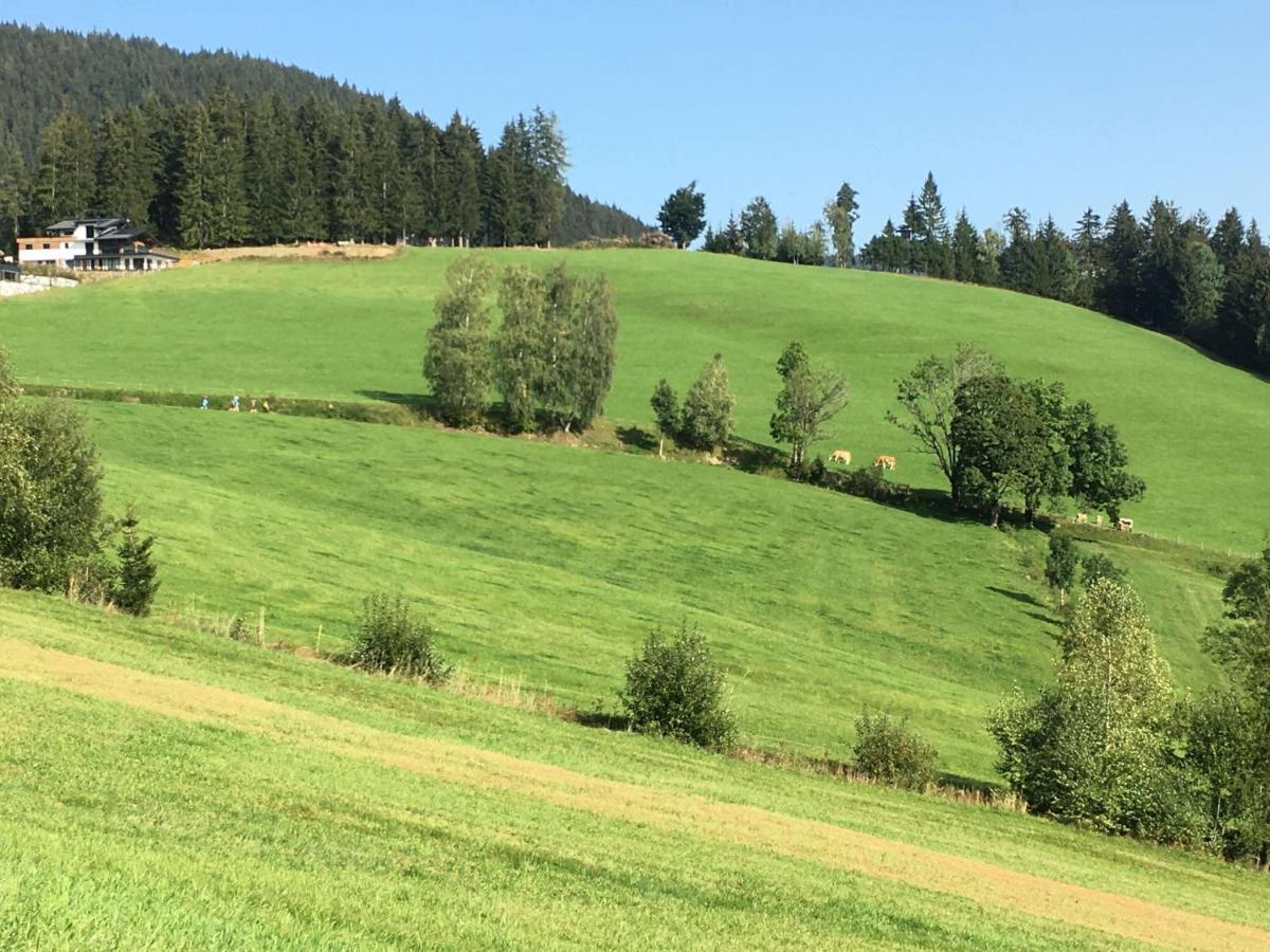 Traumblick Dachstein Διαμέρισμα Radstadt Εξωτερικό φωτογραφία