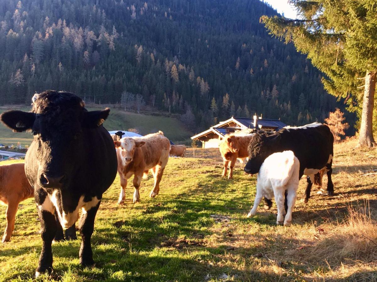 Traumblick Dachstein Διαμέρισμα Radstadt Εξωτερικό φωτογραφία